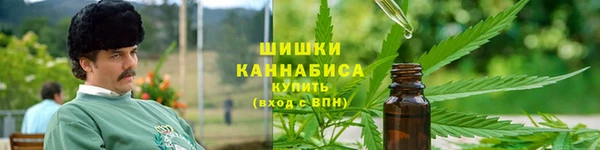 PSILOCYBIN Алзамай
