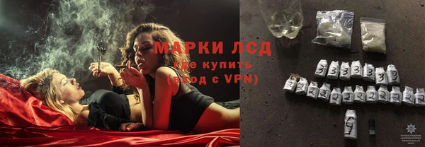 PSILOCYBIN Алзамай