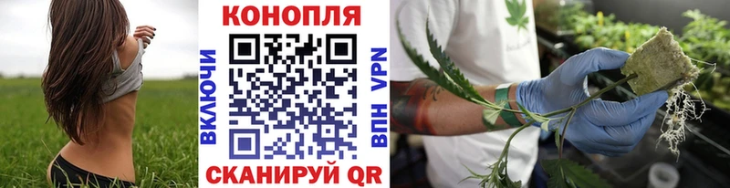 продажа наркотиков  hydra маркетплейс  Конопля AK-47  Мещовск 